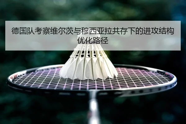 德国队考察维尔茨与穆西亚拉共存下的进攻结构优化路径